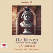 De Raven en oare oersettingen - Edgar Allan Poe