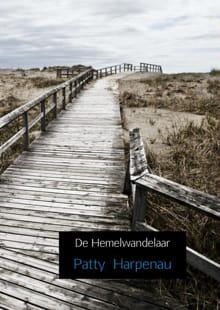 De hemelwandelaar - Patty Harpenau
