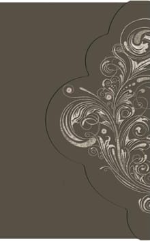 Bijbel -  Nederlands Bijbelgenootschap