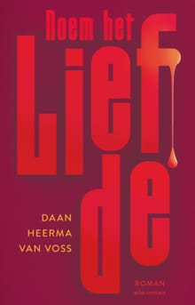 Noem het liefde - Daan Heerma van Voss