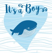 It's a boy - Gerd de Ley,  NVT, ...