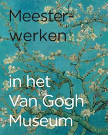 Meesterwerken in het Van Gogh Museum - Esther Darley, Renske Suijver
