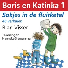 Sokjes in de fluitketel - Rian Visser