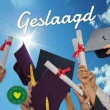 Geslaagd - Gerd de Ley