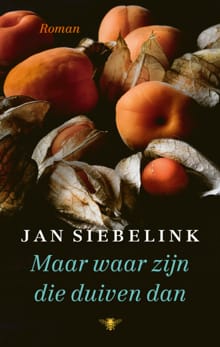 Maar waar zijn die duiven dan - Jan Siebelink