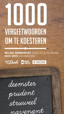 1000 vergeetwoorden om te koesteren - Eveline Stoel