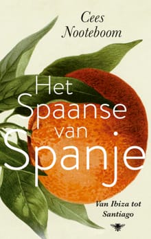 Het Spaanse van Spanje - Cees Nooteboom