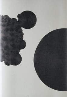 The path of the caterpillar - Karin van Dam