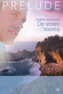 De storm voorbij - Debra Salonen