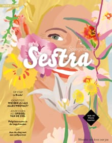Sestra - Spiegelbeeld -  Diverse auteurs