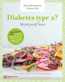 Diabetes type 2? - KARINE HOENDERDOS, Hanno Pijl, ...