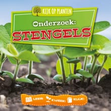 Onderzoek: Stengels - Lindsey Lowe