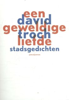 Een geweldige liefde - David Troch