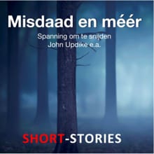 Misdaad en méér - John Updike, Josh Pachter, ...