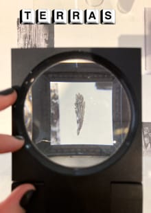 Terras 26 'Magia/No magia' - Jazmína Barrera, Verónica Gerber Bicecci, ...