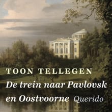 De trein naar Pavlovsk en Oostvoorne en andere verhalen - Toon Tellegen, Corrie van Binsbergen