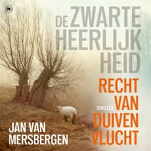 Recht van duivenvlucht - Jan van Mersbergen