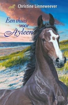 Een thuis voor Ayleen - Christine Linneweever