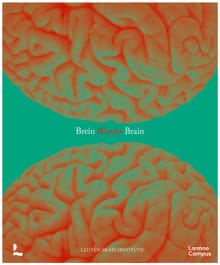 Breinwonder / Wonder Brain - Mathieu Vandenbulcke, Ann Van der Jeugd