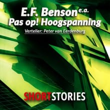 Pas op! Hoogspanning! - Maarten Biesheuvel, Janwillem van de Wetering, ...