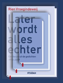 Later wordt alles echter - Rien Vroegindeweij