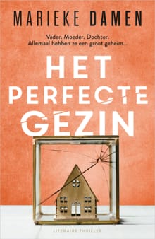 Het perfecte gezin - Marieke Damen
