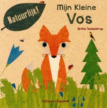 Mijn kleine Vos - Britta Teckentrup, Teckentrup Britta