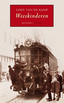 Weeskinderen - Lody B. van de Kamp