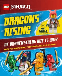 Dragons Rising -  Diversen