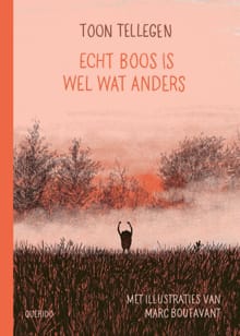 Echt boos is wel wat anders - Toon Tellegen