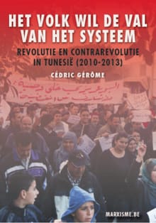 Het volk wil de val van het systeem - Cédric Gérôme