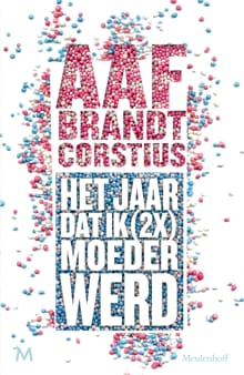 Het jaar dat ik (2x) keer moeder werd - Aaf Brandt Corstius