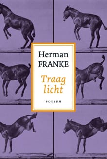 Traag licht - Herman Franke
