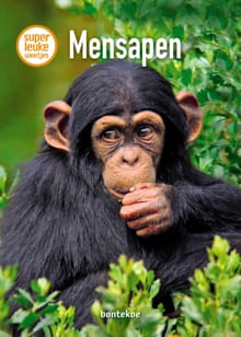 Mensapen - Christina Braun