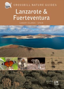 Crossbill Guide Lanzarote and Fuerteventura - Dirk Hilbers, Kees Woutersen, ...