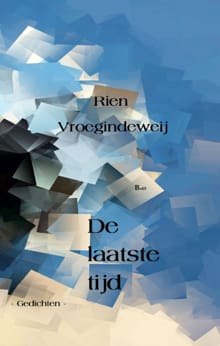 De laatste tijd - Rien Vroegindeweij