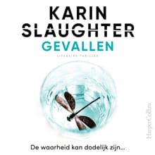 Gevallen - Karin Slaughter