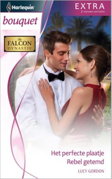 Het perfecte plaatje ; Rebel getemd - Lucy Gordon
