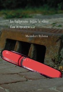 In balpinne tsjin 'e râne fan it trotwaar - Meindert Bylsma