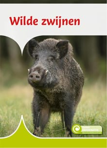 Wilde zwijnen - Geert-Jan Roebers