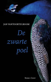 De zwarte poel - Jan Vantoortelboom