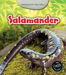 Salamander - Charlotte Guillain