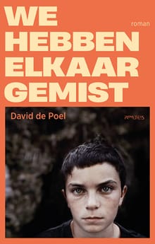 We hebben elkaar gemist - David de Poel