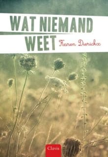 Wat niemand weet - Karen Dierickx