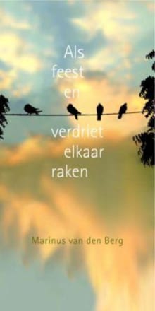 Als feest en verdriet elkaar raken - Marinus van den Berg