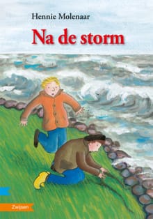 NA DE STORM - Hennie Molenaar