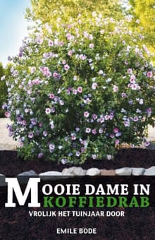 Mooie dame in koffiedrab - Emile Bode