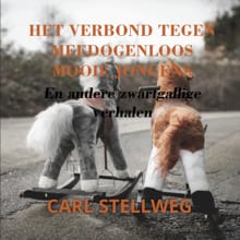 Het verbond tegen meedogenloos mooie jongens - Carl Stellweg