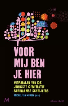 Voor mij ben je hier - Michiel van Kempen