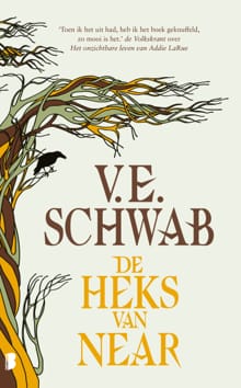 De heks van Near - V.E. Schwab